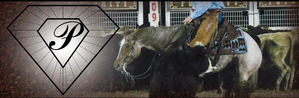 Cutting Horse Sires