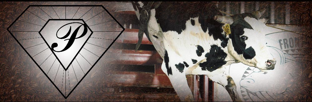 Bucking Bulls